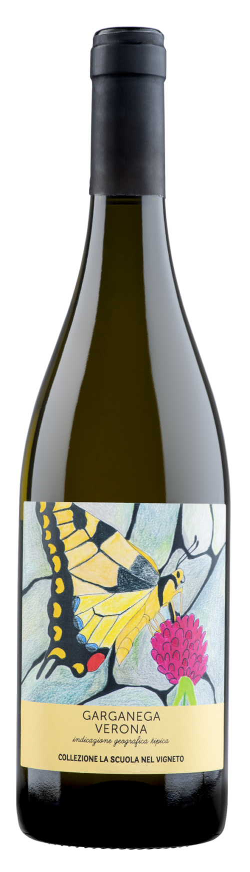 Garganega